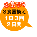 �G���U�C���_�C�G�b�g�㋉